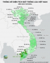 Thống K&ecirc; Diện T&iacute;ch Đất Trồng L&uacute;a Việt Nam Đến 31/12/2024