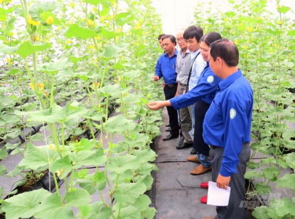 Cách làm khuyến nông độc đáo của An Giang