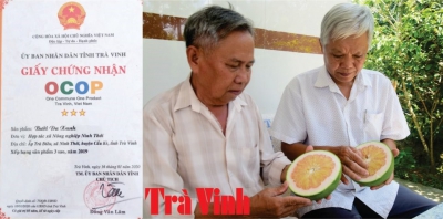 BƯỞI DA XANH NINH THỚI
