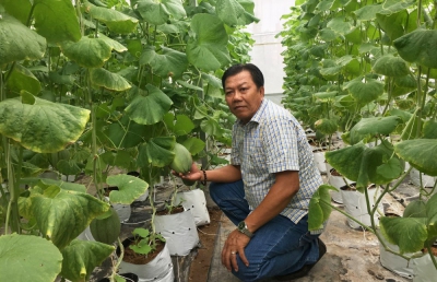 Ứng dụng c&ocirc;ng nghệ cao trồng dưa lưới