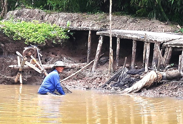 Nguy cơ thiếu nước, xâm nhập mặn ảnh hưởng vụ lúa đông xuân