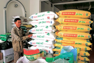 Gi&aacute; ph&acirc;n b&oacute;n tiếp tục tăng mạnh