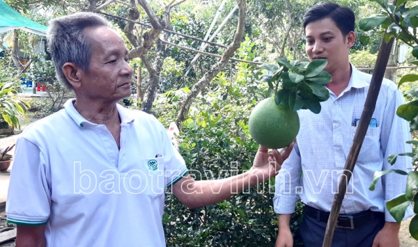 Dự báo vụ trái cây Tết Nguyên đán Tân Sửu năm 2021: Sản lượng và năng suất nhiều trái cây giảm mạnh