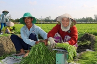 Li&ecirc;n kết h&igrave;nh th&agrave;nh chuỗi gi&aacute; trị h&agrave;ng h&oacute;a n&ocirc;ng sản