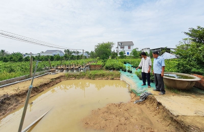 Hoa kiểng Chợ L&aacute;ch chuẩn bị cho vụ Tết 2021
