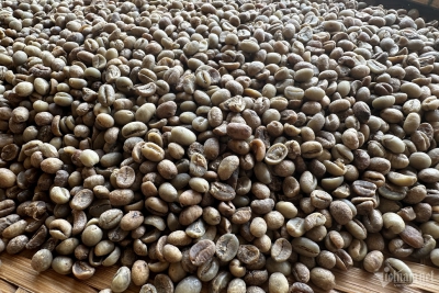 Chưa đầy nửa năm, một loại hạt của Việt Nam đ&atilde; thu về hơn 3 tỷ USD