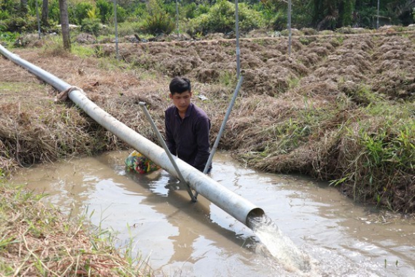 Hạn mặn hoành hành ĐBSCL