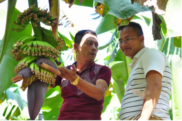 Người đưa trái chuối trứ danh đi Nhật