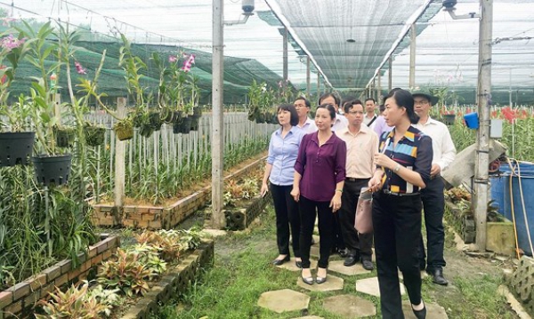 Thúc đẩy tiềm năng du lịch nông nghiệp
