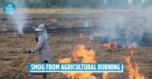 Dập tắt tập quán đốt đồng, thủ phạm tạo ra carbon đen