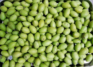 An Giang phát triển những vùng cây ăn trái bền vững