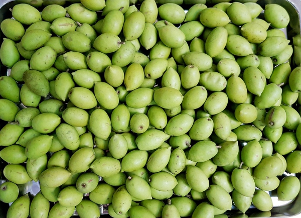 An Giang phát triển những vùng cây ăn trái bền vững